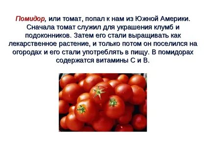 Значение слова помидор