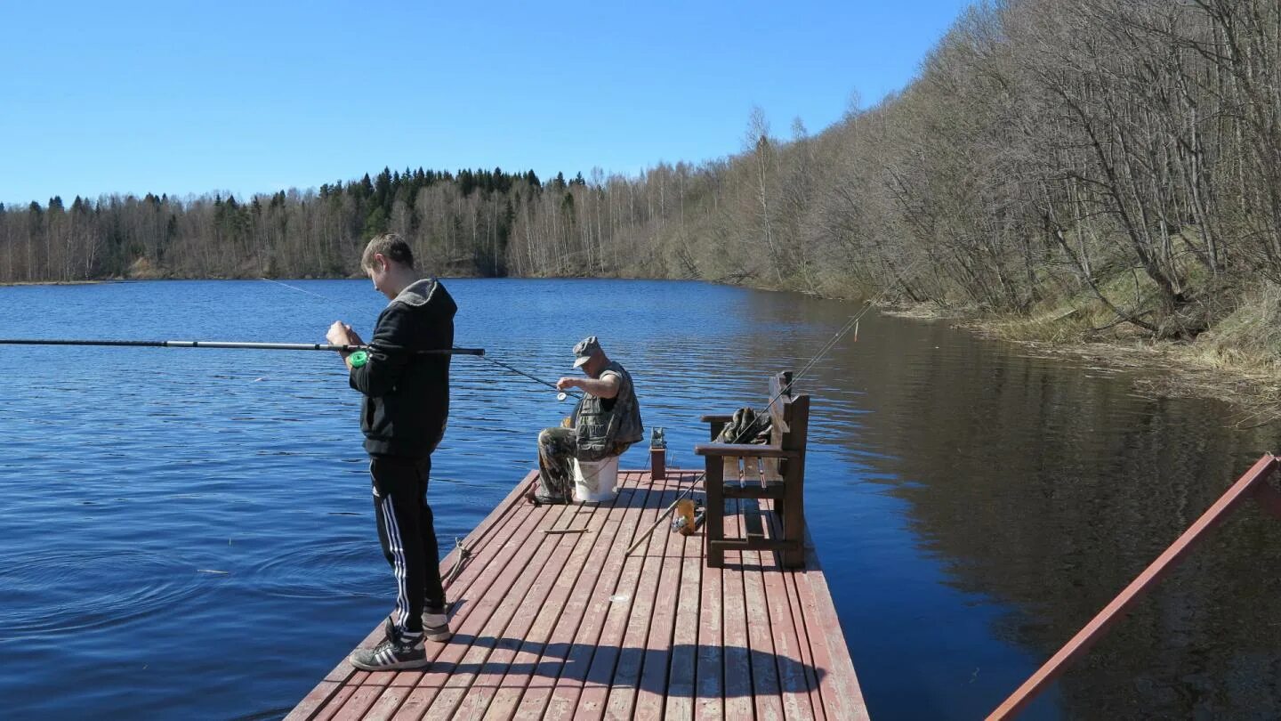 Ловить на легкое. Рыбинское водохранилище рыбалка. Место для рыбалки. Мостки для рыбалки. Пристань для рыбалки.