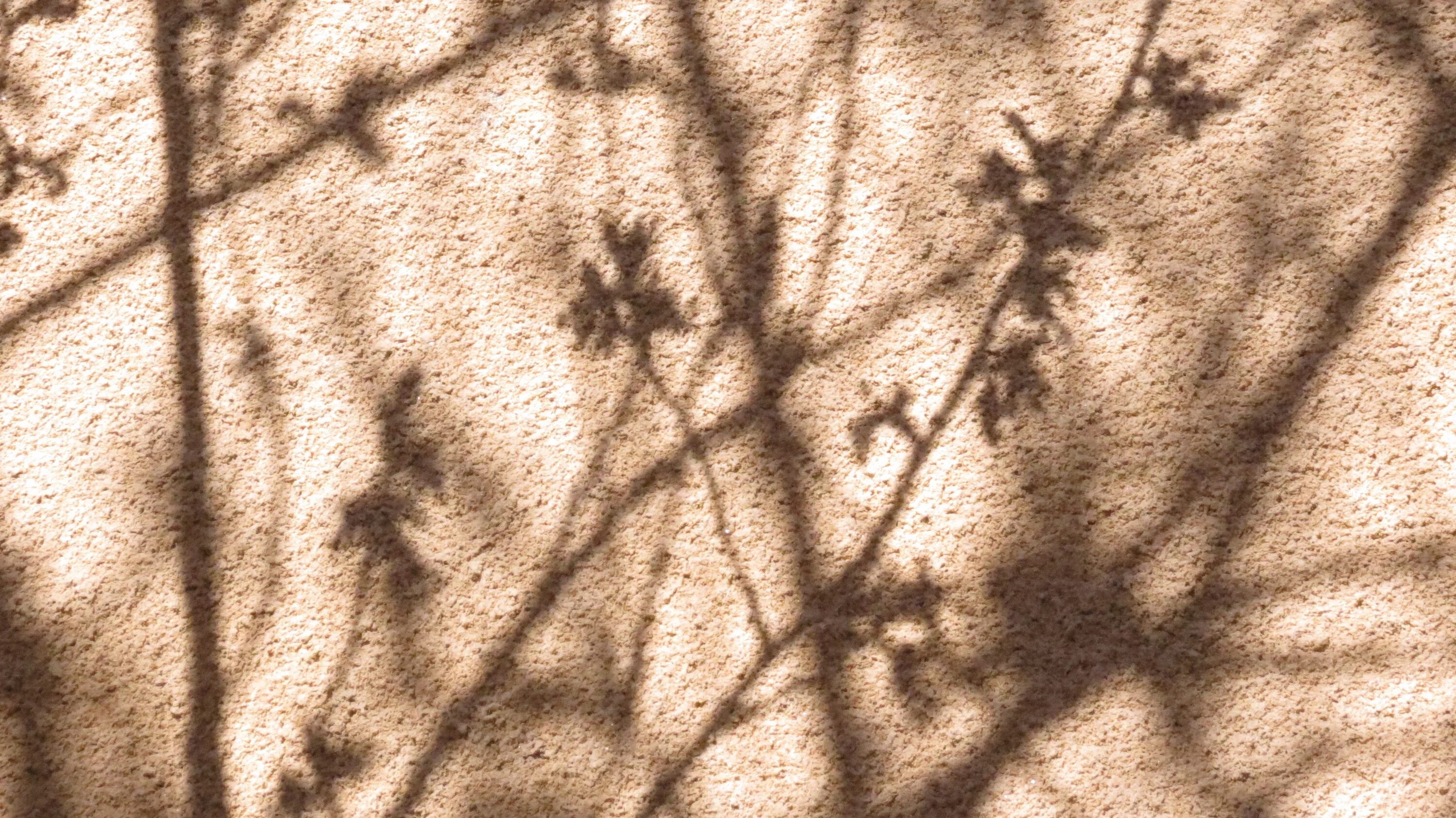 Texture shadows