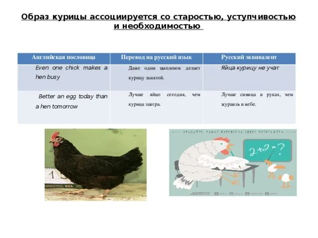 Образ курицы. Что делают курицы на англ. Куры что сделают названия действий. Поставь кура