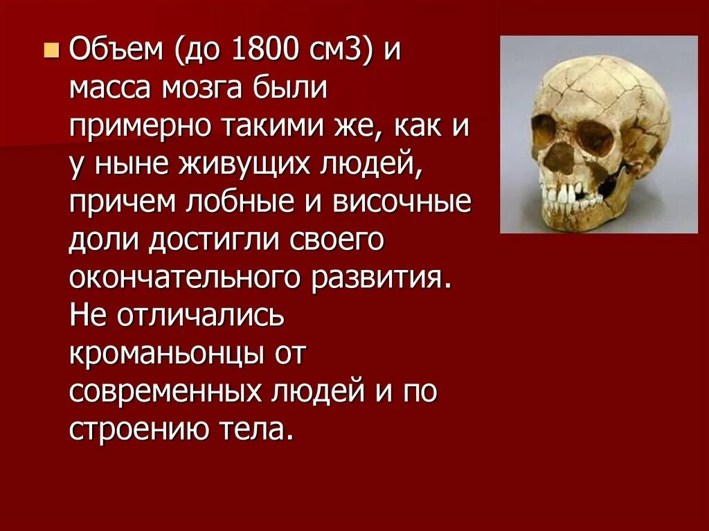 Масса мозга человека разумного превышала 1 кг. Объем мозга 1800 см3 у кого. историческое прошлое людей. масса мозга кроманьонца. предшественники человека.