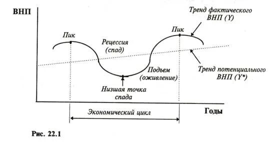 Фазы экономического цикла таблица. Фазы экономического цикла таблица