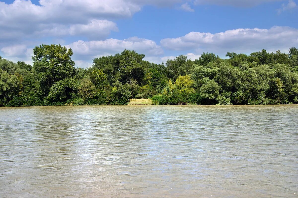 кубань станица ладожская. река кубань станица ладожская. станица ладожская достопримечательности. кубань ладожская. мост через реку кубань станица ладожская.