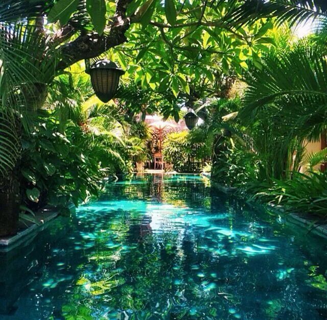 Тропическая Лагуна Майкоп. W Bali Seminyak бассейн. Парк Parq Бали бассейн. Бассейн в тропическом стиле.
