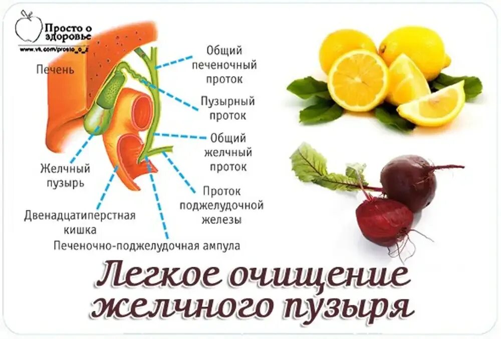 Продукты для очистки желчного пузыря. Полезная диета для желчного пузыря. Продукты полезные для желчного пузыря и протоков. Фрукты полезные для желчного пузыря.