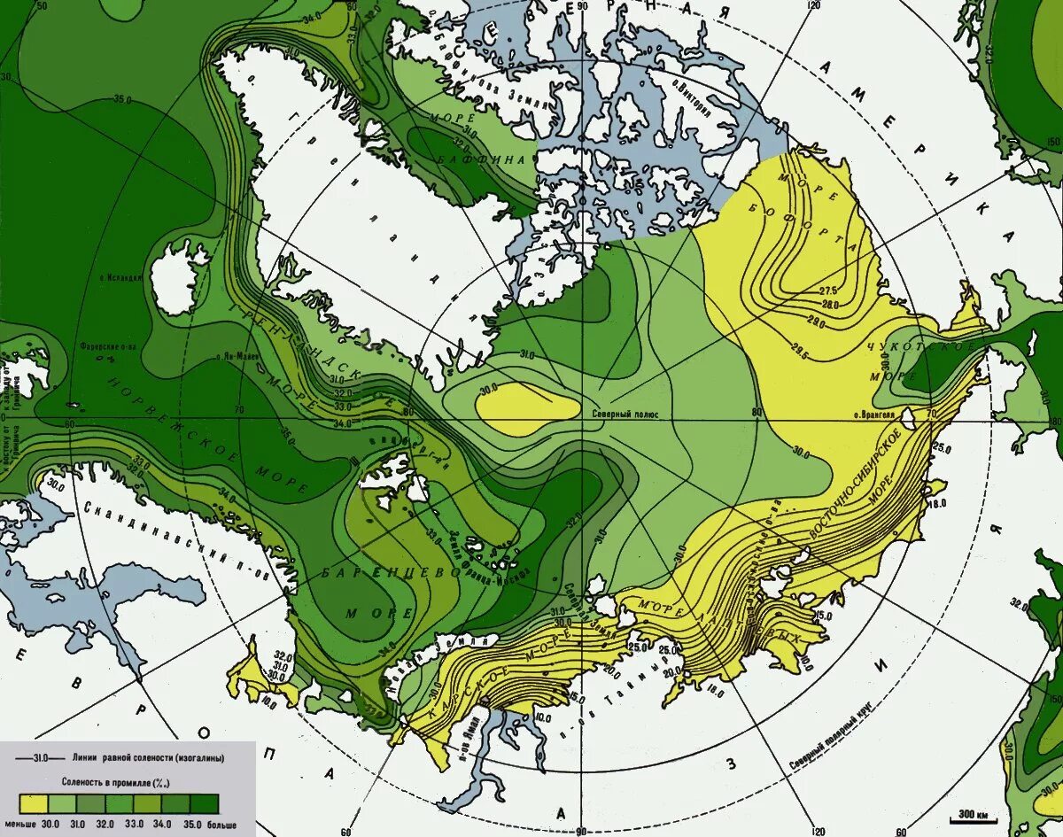температура поверхностных вод ледовитого океана. соленость северного ледовитого океана 7 класс. северный ледовитый океан 7 класс география. климат северного ледовитого океана. карта солености вод северного ледовитого океана.