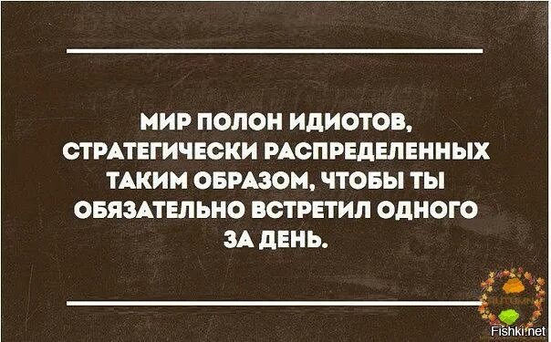 Мир полон приключений. Придурок юмор. Цитаты про идиотов. Про дебилов.. Юмор ... Идиот прикол.