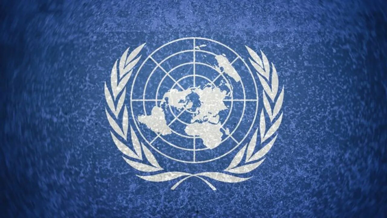 Оон красный. Лига наций и ООН. Флаг Лиги наций и ООН. Цвета ООН. ООН эмблема картинки.