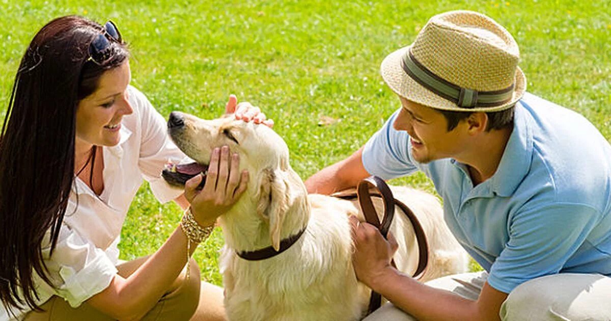 Event petting. Человек гладит собаку. Девушка гладит собаку. Ребенок гладит собаку. Хозяин гладит собаку.