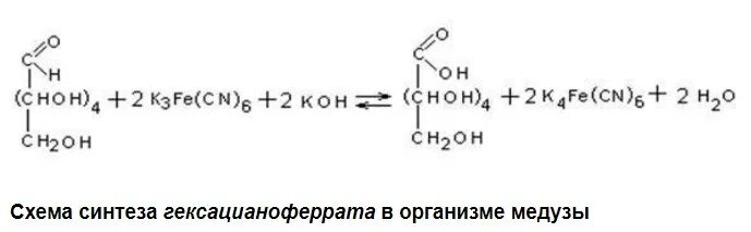 Реакция гексацианоферрата калия. Калий железосинеродистый. Анальгин гексацианоферрат калия. Реакция на кальций с гексацианоферратом. Глюкоза плюс гексацианоферрат калия реакция.