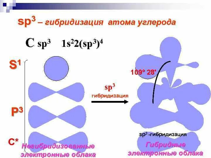 Гибридизация каждого атома