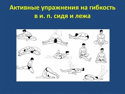 Упражнения для улучшения гибкости