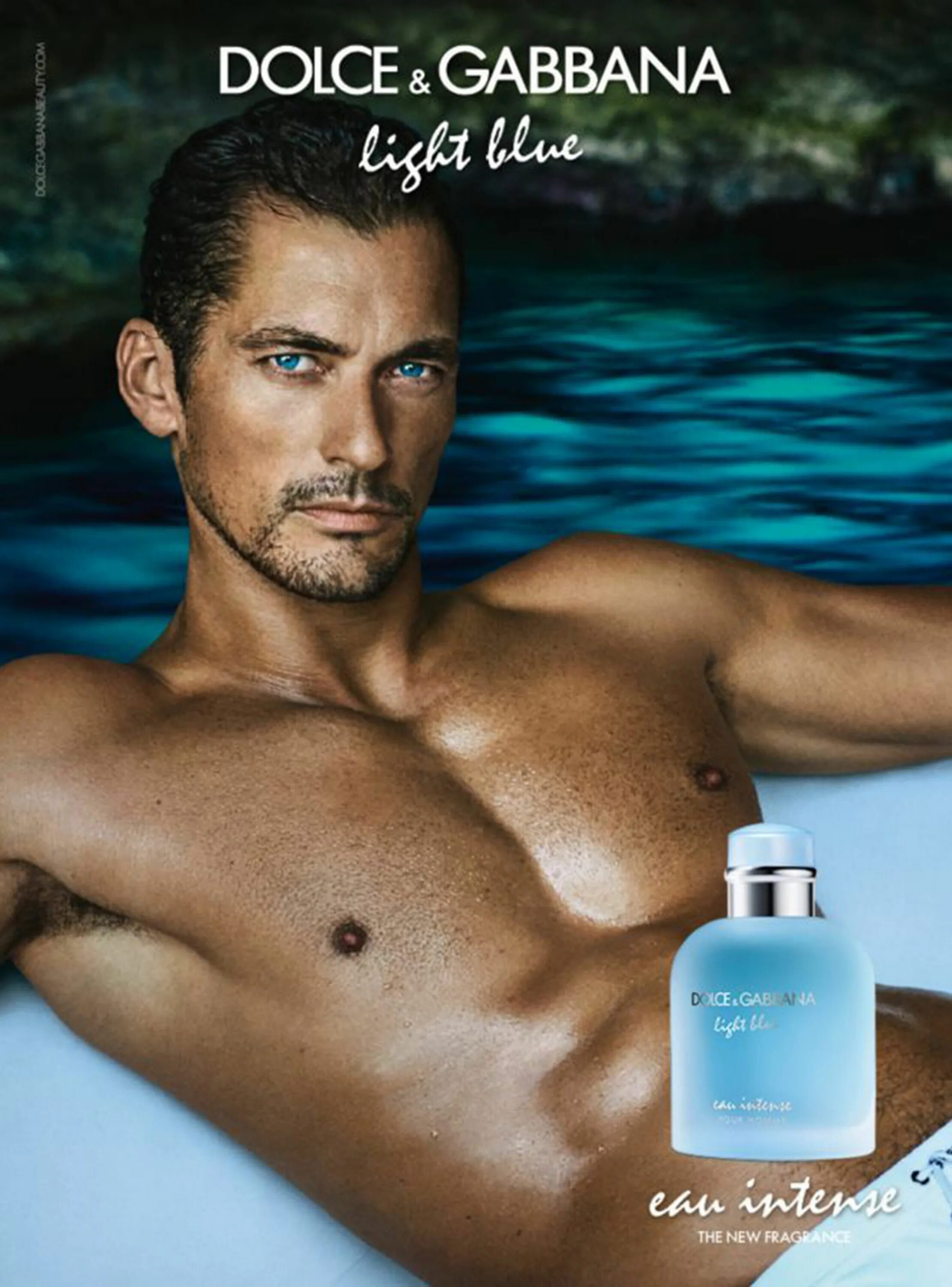 Дольче интенс мужские. Dolce Gabbana Light Blue. Dolce Gabbana Light Blue intense мужские. Dolce & Gabbana Light Blue Eau intense. Dolce Gabbana Light Blue pour homme.