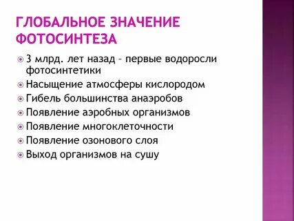Какую роль играют простейшие в природе