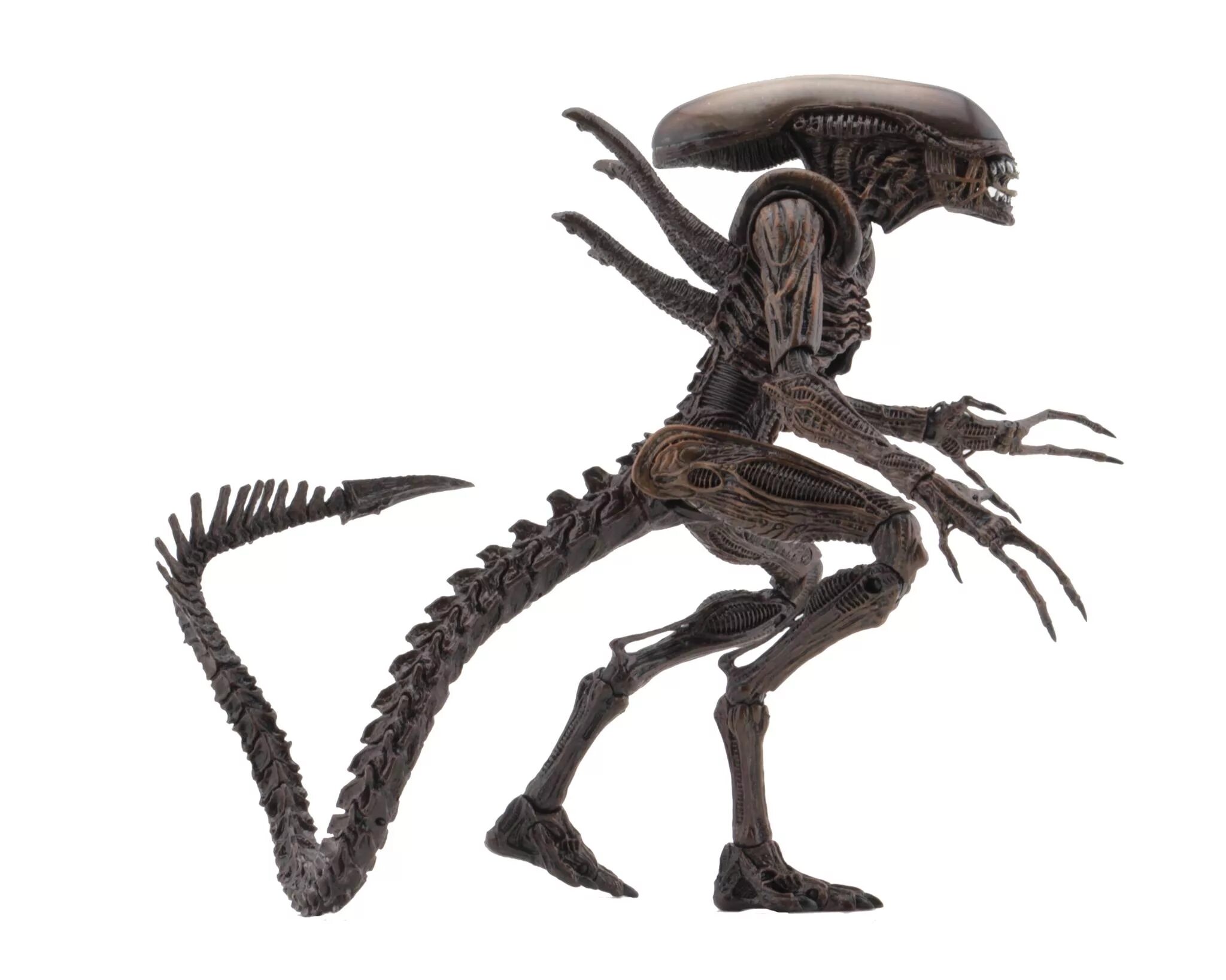 Фигурка NECA Aliens Resurrection. Фигурка Alien - Xenomorph. Фигурка ксеноморфа - (чужой Завет) Alien 17см.