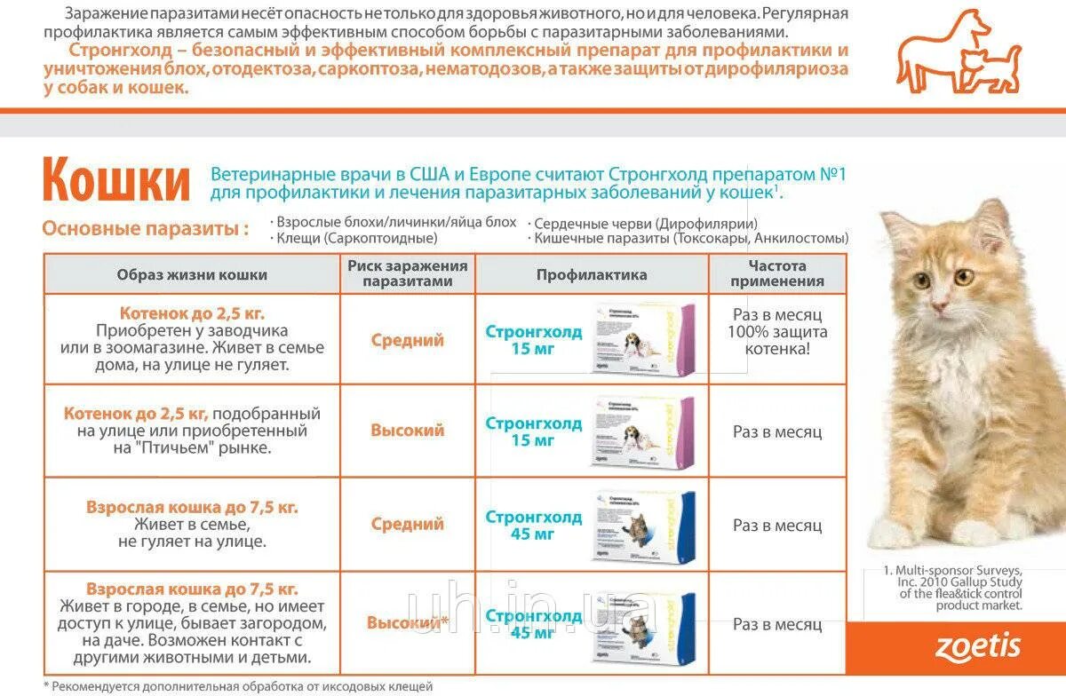 Именем какой королевы назван защитный ветеринарный
