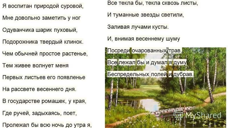стихотворение я воспитан природой суровой. стихотворение заболоцкого я воспитан природой. ». заболоцкого «я воспитан природой суровой». я воспитан природой анализ.