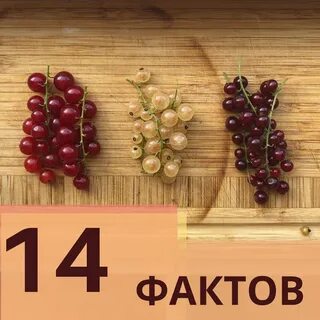 Красная смородина витамины