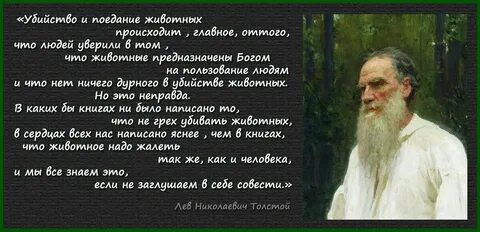 Толстой отношение к людям