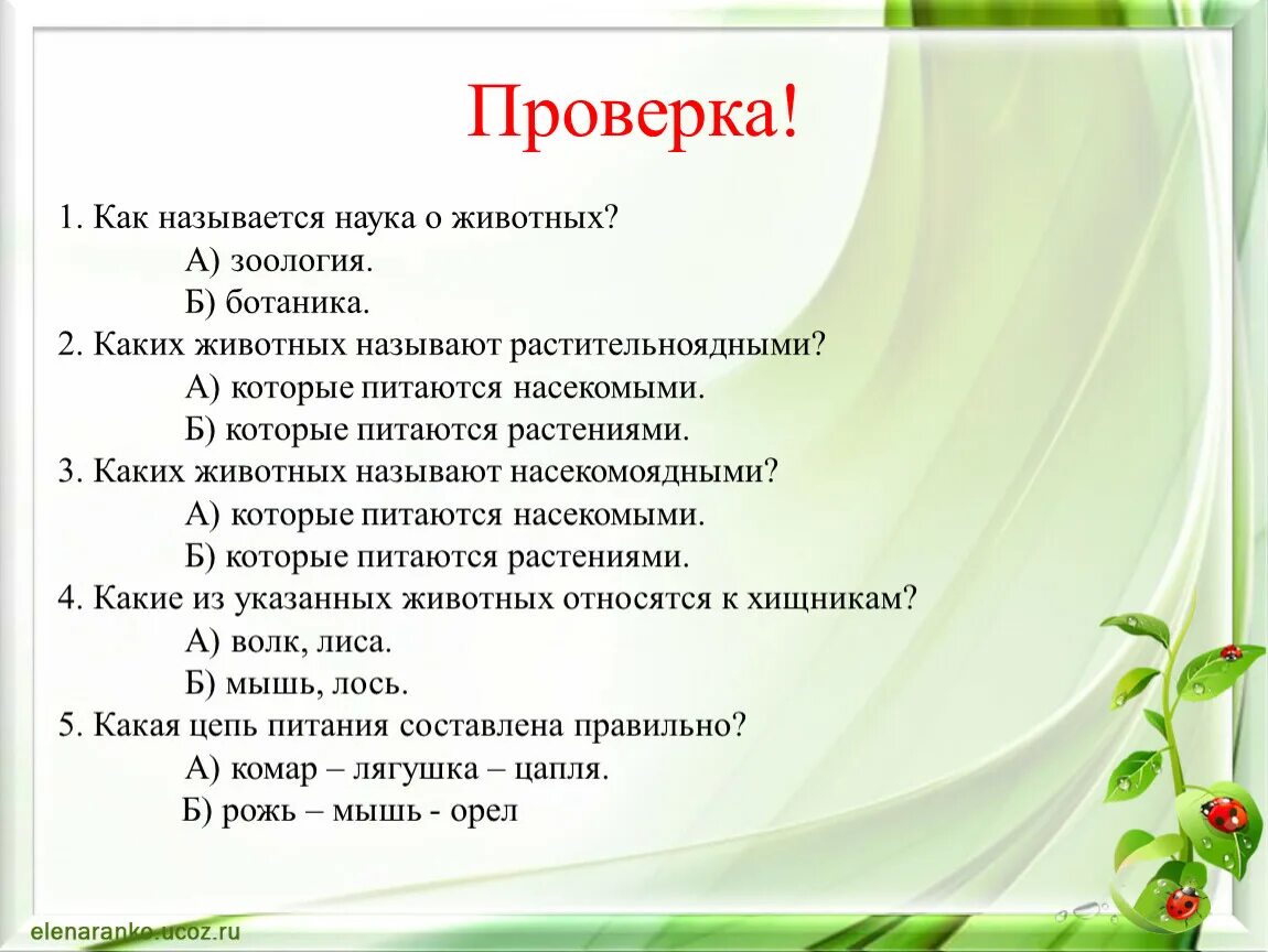 Будем проверять каждый день. Как называется проверка. Вопросник проверка как называется. Как называется проверка правил. Статья проверка как это называется.