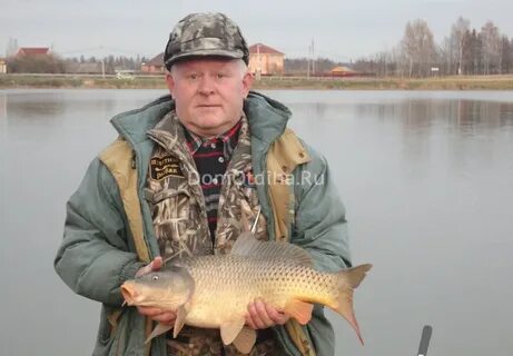 Лыткин платная рыбалка