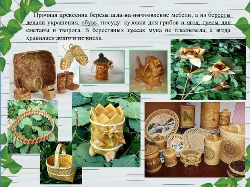 Береста из какого дерева делают. Что делают из березы. предметы из березы. какие предметы делают из березы. изделия из дерева из березы.