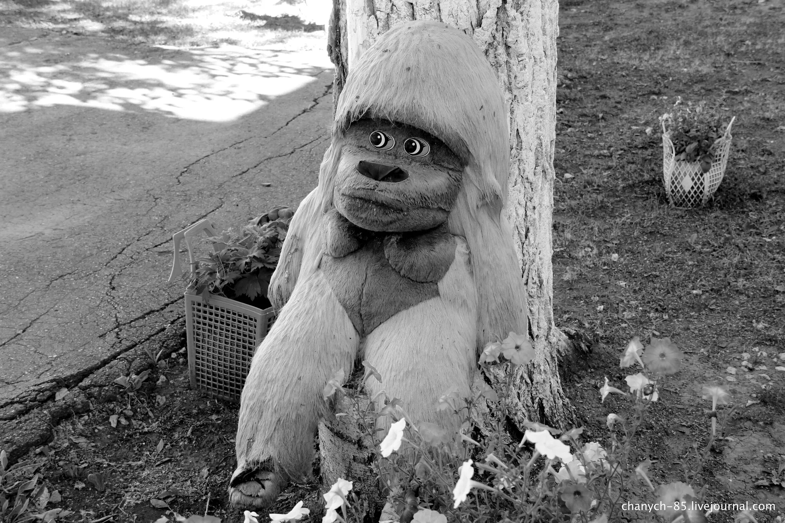 Жилищно-эксплуатационные организации. Жэк самара. Жэк самара. Картинка грустный мишка на заставку телефона. Жэк самара.