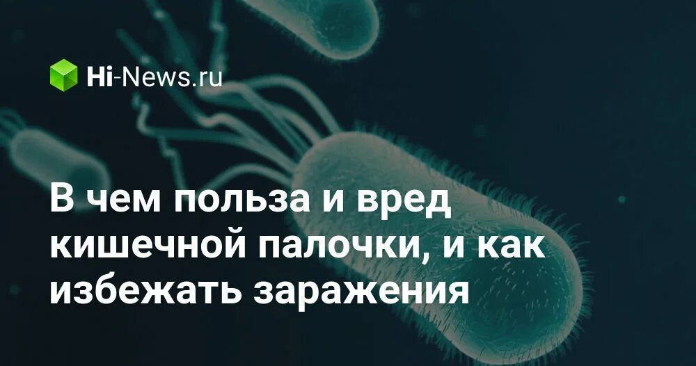 Где нашли кишечную палочку. Проект: &quot; польза и вред бактерий&quot;. в жизнь марте нашли кишечную палочку.