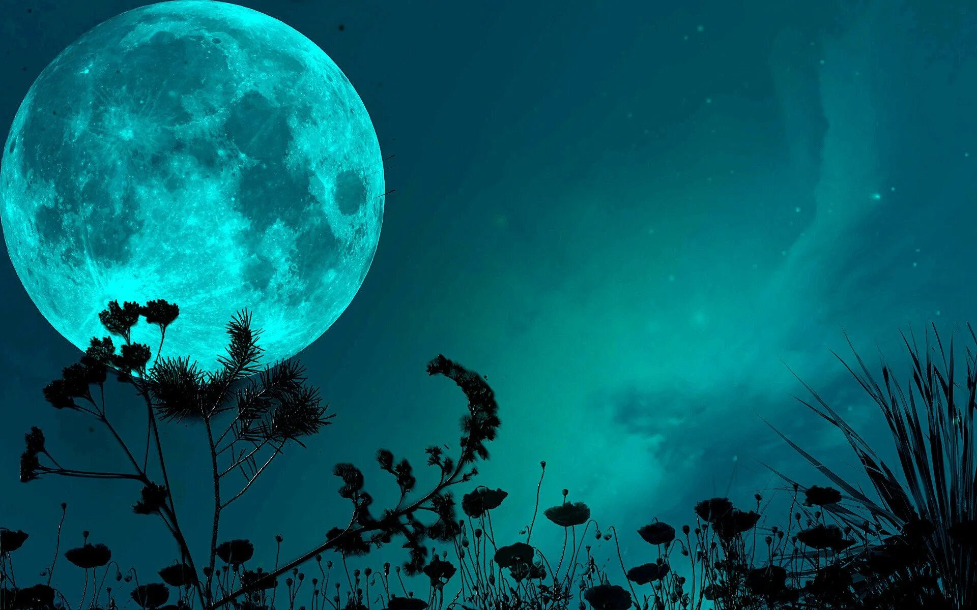 Заставка на телефон ночь. Ночь Луна. Лунное небо. Красивая Луна. Ночная Луна.
