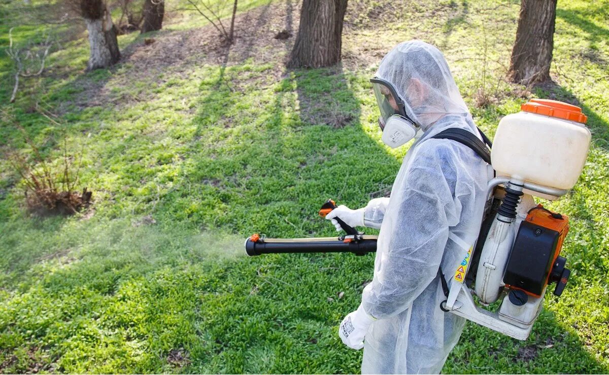 дезинсекция комаров. аккарициднаяоброботка. обработка территорий. дезинсекция клещей. дезинсекция деревьев на участке.