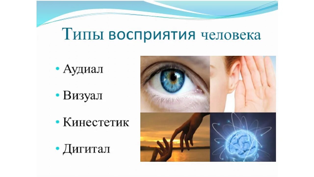 Человек информация тест. Типы личности аудиал визуал кинестетик дигитал. типы восприятия человека. аудиал визуал кинестетик.