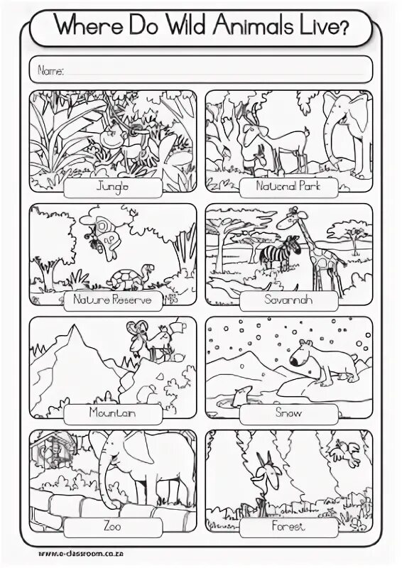 Where animals live. Where animals live. Where animals live. Where do animals live. Where animals live for kids.