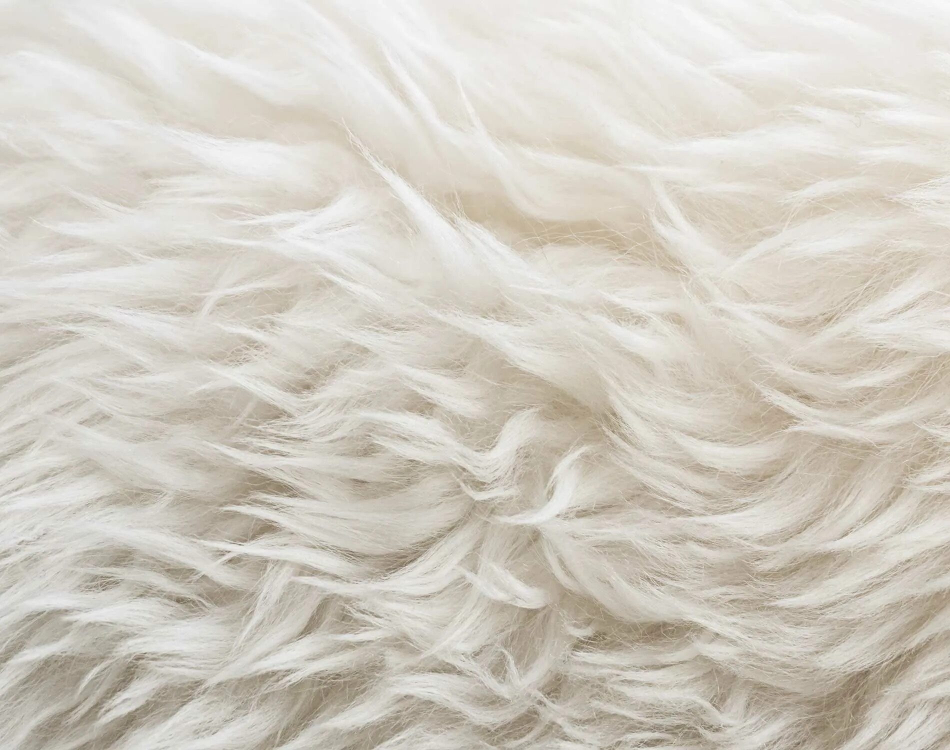 Белая шерсть. Текстура шерсти. Шерсть на белом фоне. Искусственный мех текстура. Текстура шерсти.