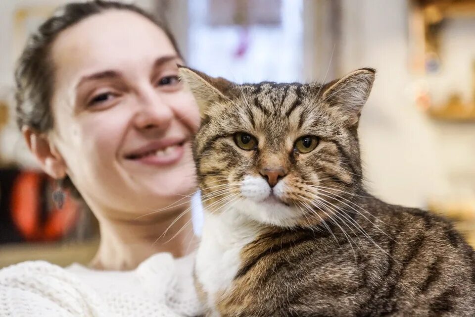 Хозяева в самаре. Самарские коты. кот в самаре.