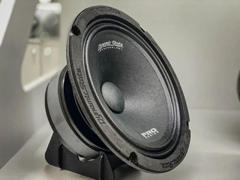 Dynamic state pm 165. 3 pro. 1. 3 pro. Динамики dynamic state 165.