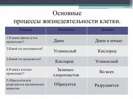 Какие процессы называют новейшими