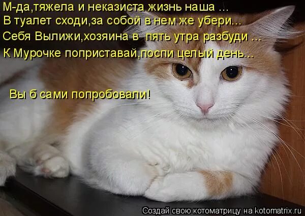 Что означает слово неказистый. Тяжела и неказиста. Неказиста жизнь народного артиста. Тяжела и неказиста жизнь. Хороша и неказиста жизнь народного артиста.