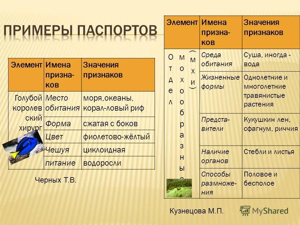 Знаки (символы) хим элементов таблица менделеева. Таблица менделеева с названиями химических элементов на латыни. Дмитрий иванович менделеев таблица химических элементов. Элементы знака охраны авторского права. Древо сефирот пояснение арканов.