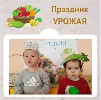 С какого числа в садик