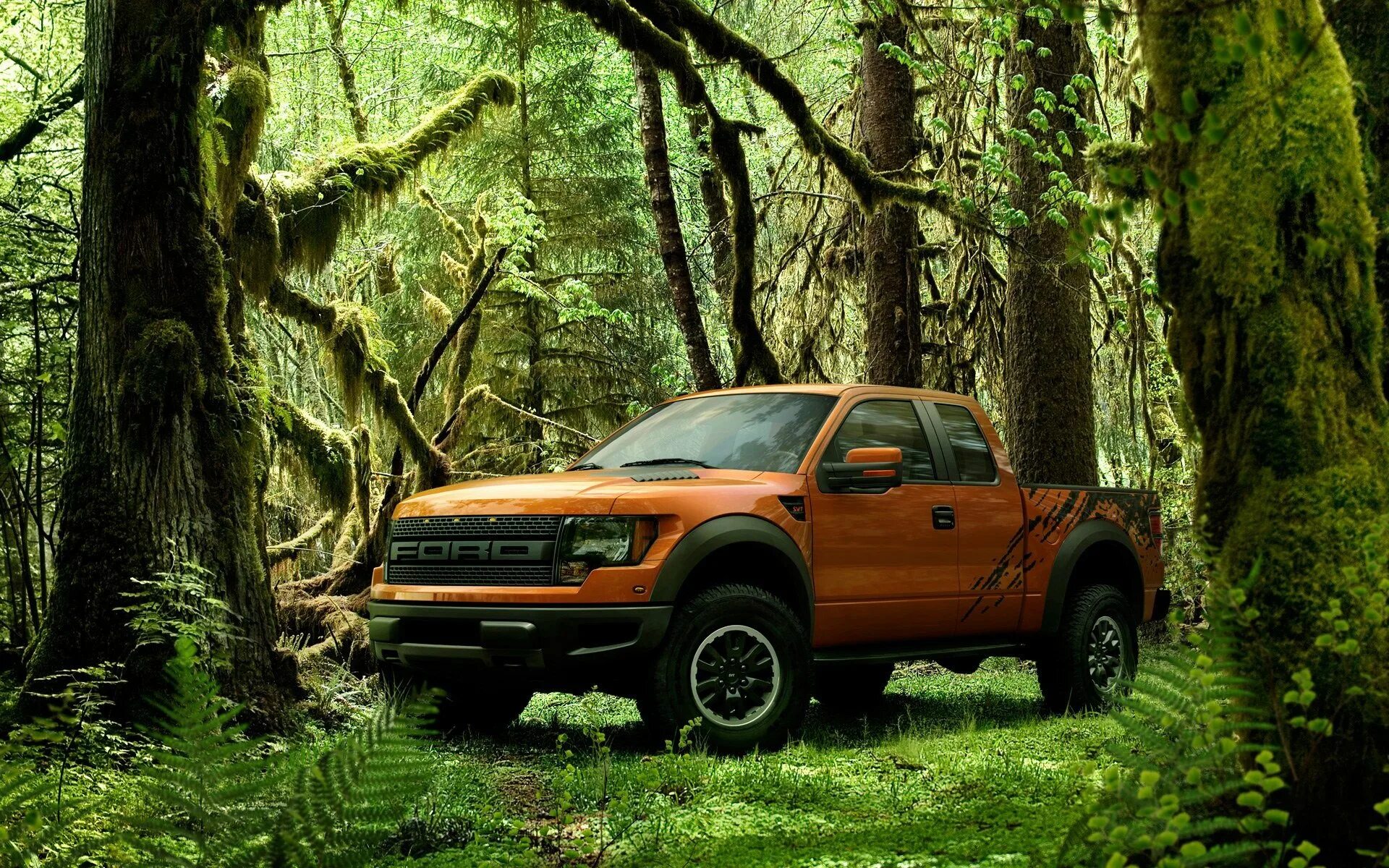 Ford f150 Raptor. Ford f-150 Raptor джип. Ford f 150 Raptor в лесу. Ford f-150 Raptor оранжевый. Пикап поле