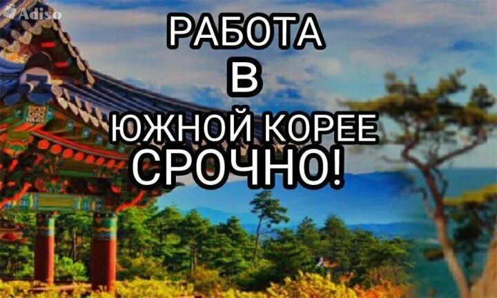 Работа в корее для русских 2024 вакансии. Вакансии Корея. Работа в Южной Кореи гражданам РФ. Хочу в Корею Южную. Вакансия Южная Корея для русских.