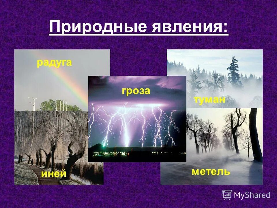 Природные явления признаки. Названия природных явлений. Назвать разные явления природы. Явления природы картинки. Проект явления природы.