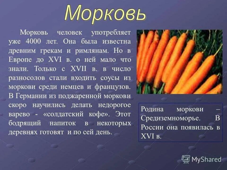 Морковь. Описание моркови. Призентацияна тему морковь. Рассказ про морковь.