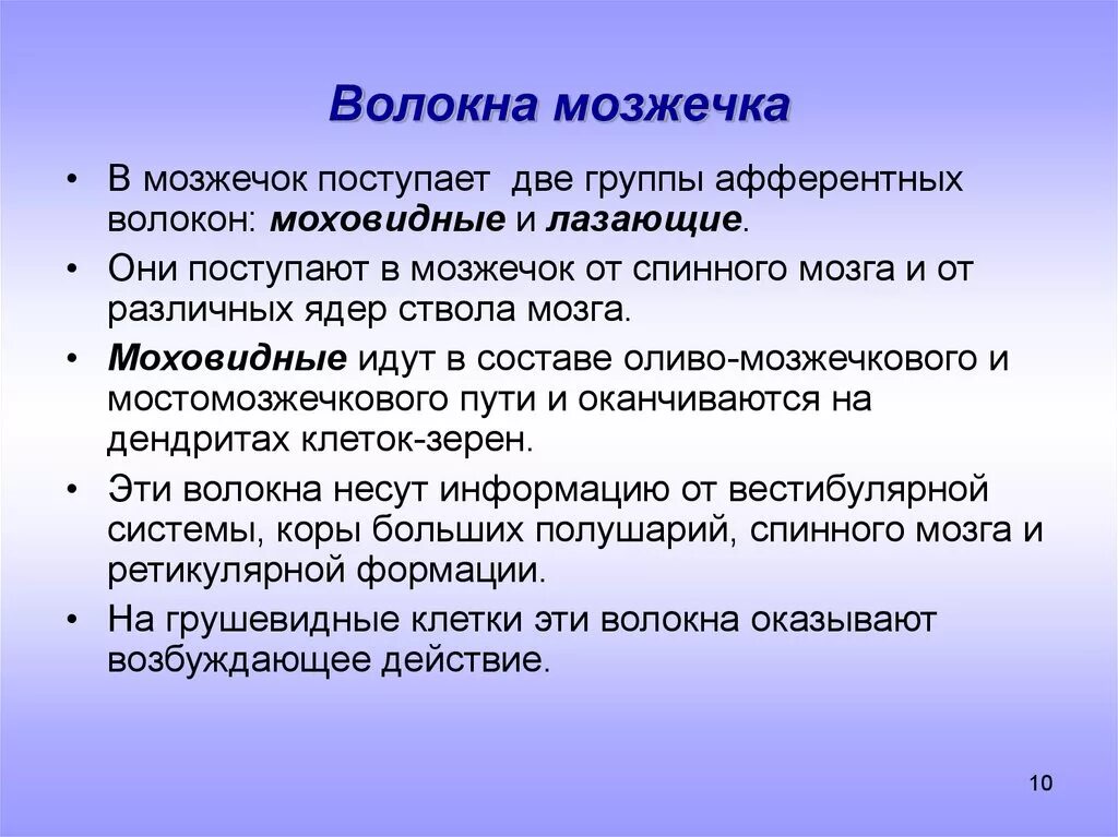 Мозжечок волокна. Моховидные волокна мозжечка. Лазящие волокна мозжечка. Лазящие и Моховидные волокна мозжечка. Волоконный состав мозжечка.