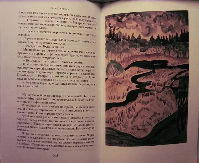 Коваль самая лёгкая лодка в мире книга. Главная мысль самая легкая лодка в мире