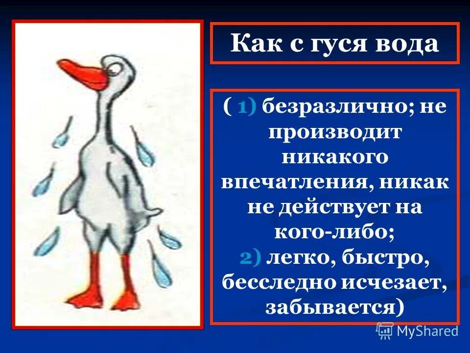 Объясните значение как с гуся вода. Как с гуся вода фразеологизм. Как с гуся вода. Как с гуся вода значение фразеологизма. Как с гуся вода значение.