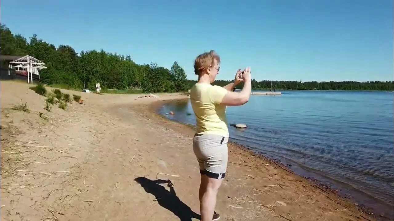 Лось лосево. Лосево (Приозерский район). Добрый Лось Лосево. База отдыха в Ленинградской области добрый Лось. Лосево база отдыха СПБ.