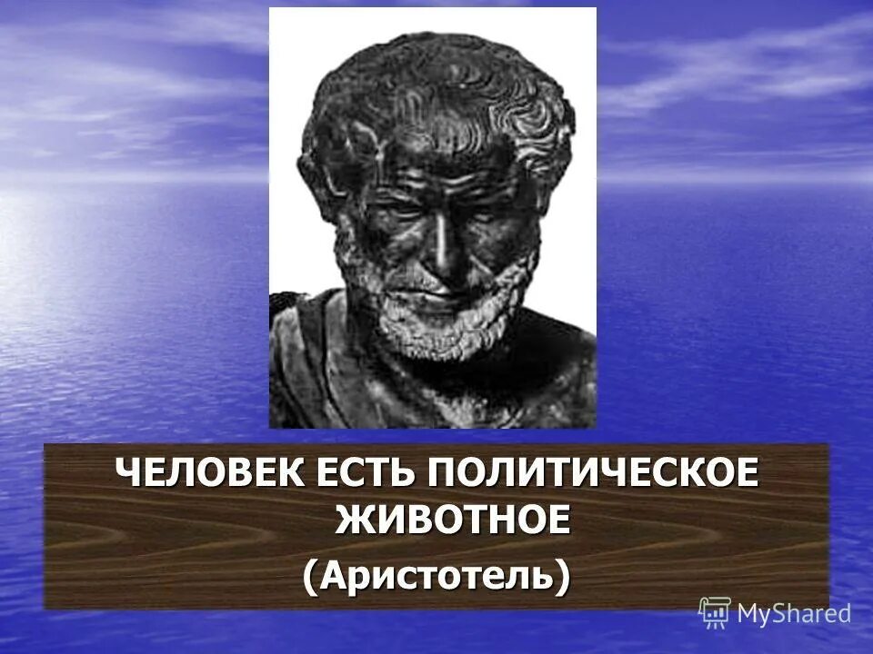 Высказывания аристотеля человек - политическое животное. Определял человека как политическое животное. Аристотель общественное животное. "политическое животное" (аристотель). Политическое животное аристотель.