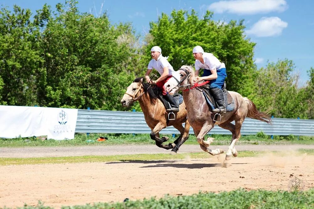 Спорт түрлері. АТ жегу. Сайыс скачки. АТ. Ұлттық ойындар түрлері