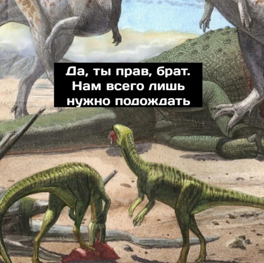 Я хочу динозавры. Смешной динозавр. эволюция динозавров. покажи мне динозавров. забавные динозавры.